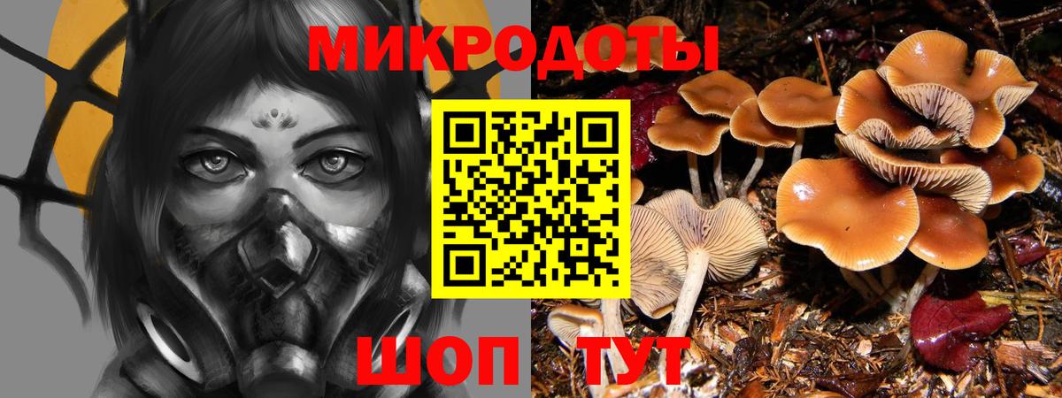 Гатчина  Галлюциногенные грибы Magic Shrooms  Псилоцибиновые грибы ЛСД  Вход с VPN 