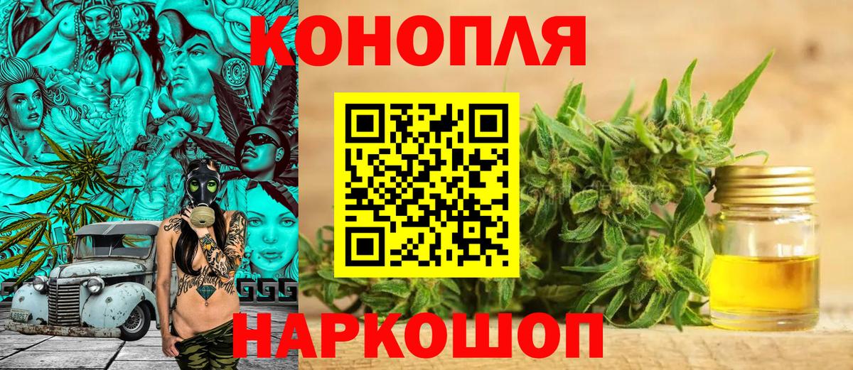 Бошки марихуана семена Гатчина